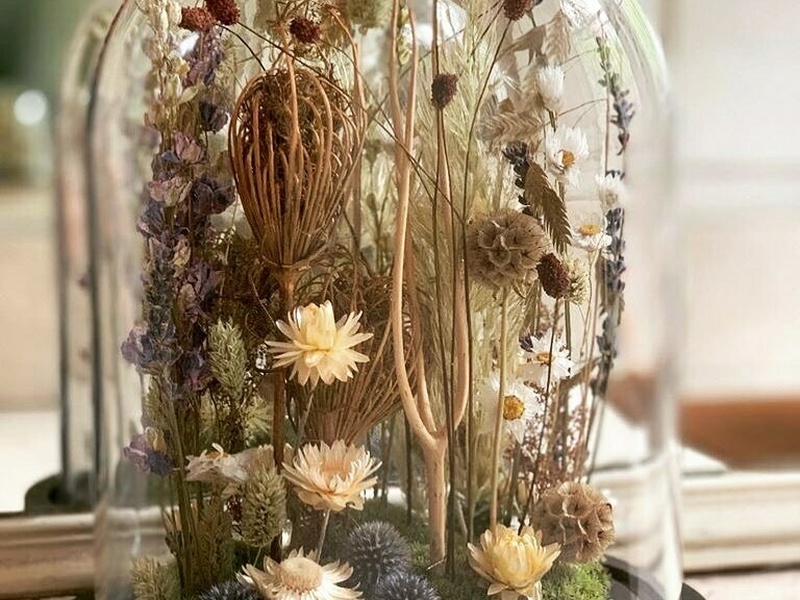 Plantes naturelles et fleurs intemporelles